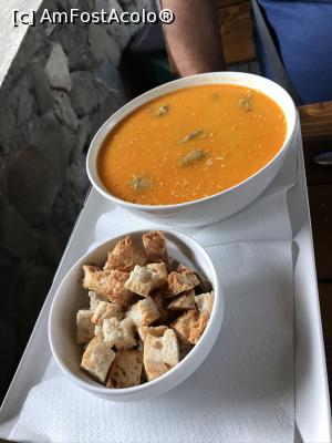 [P49] Ciorbița de hribi » foto by krisstinna
 - 
<span class="allrVoted glyphicon glyphicon-heart hidden" id="av1193072"></span>
<a class="m-l-10 hidden" id="sv1193072" onclick="voting_Foto_DelVot(,1193072,18901)" role="button">șterge vot <span class="glyphicon glyphicon-remove"></span></a>
<a id="v91193072" class=" c-red"  onclick="voting_Foto_SetVot(1193072)" role="button"><span class="glyphicon glyphicon-heart-empty"></span> <b>LIKE</b> = Votează poza</a> <img class="hidden"  id="f1193072W9" src="/imagini/loader.gif" border="0" /><span class="AjErrMes hidden" id="e1193072ErM"></span>