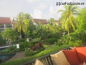 [P01] Vedere de pe divan » foto by CorinaZamfir
 - 
<span class="allrVoted glyphicon glyphicon-heart hidden" id="av646039"></span>
<a class="m-l-10 hidden" id="sv646039" onclick="voting_Foto_DelVot(,646039,18911)" role="button">șterge vot <span class="glyphicon glyphicon-remove"></span></a>
<a id="v9646039" class=" c-red"  onclick="voting_Foto_SetVot(646039)" role="button"><span class="glyphicon glyphicon-heart-empty"></span> <b>LIKE</b> = Votează poza</a> <img class="hidden"  id="f646039W9" src="/imagini/loader.gif" border="0" /><span class="AjErrMes hidden" id="e646039ErM"></span>