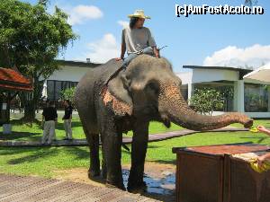 [P18] Entertainment pe plaja :-)  » foto by CorinaZamfir
 - 
<span class="allrVoted glyphicon glyphicon-heart hidden" id="av646085"></span>
<a class="m-l-10 hidden" id="sv646085" onclick="voting_Foto_DelVot(,646085,18911)" role="button">șterge vot <span class="glyphicon glyphicon-remove"></span></a>
<a id="v9646085" class=" c-red"  onclick="voting_Foto_SetVot(646085)" role="button"><span class="glyphicon glyphicon-heart-empty"></span> <b>LIKE</b> = Votează poza</a> <img class="hidden"  id="f646085W9" src="/imagini/loader.gif" border="0" /><span class="AjErrMes hidden" id="e646085ErM"></span>