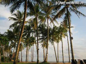 [P26] Plaja :-)  » foto by CorinaZamfir
 - 
<span class="allrVoted glyphicon glyphicon-heart hidden" id="av646098"></span>
<a class="m-l-10 hidden" id="sv646098" onclick="voting_Foto_DelVot(,646098,18911)" role="button">șterge vot <span class="glyphicon glyphicon-remove"></span></a>
<a id="v9646098" class=" c-red"  onclick="voting_Foto_SetVot(646098)" role="button"><span class="glyphicon glyphicon-heart-empty"></span> <b>LIKE</b> = Votează poza</a> <img class="hidden"  id="f646098W9" src="/imagini/loader.gif" border="0" /><span class="AjErrMes hidden" id="e646098ErM"></span>