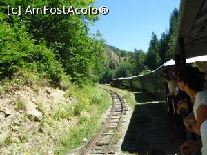 [P18] padure predominant de foioase » foto by VOIAJ
 - 
<span class="allrVoted glyphicon glyphicon-heart hidden" id="av929564"></span>
<a class="m-l-10 hidden" id="sv929564" onclick="voting_Foto_DelVot(,929564,18930)" role="button">șterge vot <span class="glyphicon glyphicon-remove"></span></a>
<a id="v9929564" class=" c-red"  onclick="voting_Foto_SetVot(929564)" role="button"><span class="glyphicon glyphicon-heart-empty"></span> <b>LIKE</b> = Votează poza</a> <img class="hidden"  id="f929564W9" src="/imagini/loader.gif" border="0" /><span class="AjErrMes hidden" id="e929564ErM"></span>