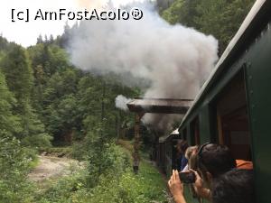 [P34] Cu mocanita pe Valea Vaserului - trecem si pe sub o poarta maramureseana » foto by mishu
 - 
<span class="allrVoted glyphicon glyphicon-heart hidden" id="av898789"></span>
<a class="m-l-10 hidden" id="sv898789" onclick="voting_Foto_DelVot(,898789,18930)" role="button">șterge vot <span class="glyphicon glyphicon-remove"></span></a>
<a id="v9898789" class=" c-red"  onclick="voting_Foto_SetVot(898789)" role="button"><span class="glyphicon glyphicon-heart-empty"></span> <b>LIKE</b> = Votează poza</a> <img class="hidden"  id="f898789W9" src="/imagini/loader.gif" border="0" /><span class="AjErrMes hidden" id="e898789ErM"></span>