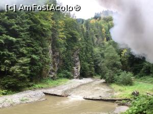 [P35] Cu mocanita pe Valea Vaserului - aici apa trecuse peste podet » foto by mishu
 - 
<span class="allrVoted glyphicon glyphicon-heart hidden" id="av898790"></span>
<a class="m-l-10 hidden" id="sv898790" onclick="voting_Foto_DelVot(,898790,18930)" role="button">șterge vot <span class="glyphicon glyphicon-remove"></span></a>
<a id="v9898790" class=" c-red"  onclick="voting_Foto_SetVot(898790)" role="button"><span class="glyphicon glyphicon-heart-empty"></span> <b>LIKE</b> = Votează poza</a> <img class="hidden"  id="f898790W9" src="/imagini/loader.gif" border="0" /><span class="AjErrMes hidden" id="e898790ErM"></span>