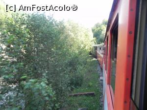 [P02]  -- <small>// FĂRĂ DESCRIERE</small> » foto by Scamuta
 - 
<span class="allrVoted glyphicon glyphicon-heart hidden" id="av896046"></span>
<a class="m-l-10 hidden" id="sv896046" onclick="voting_Foto_DelVot(,896046,18930)" role="button">șterge vot <span class="glyphicon glyphicon-remove"></span></a>
<a id="v9896046" class=" c-red"  onclick="voting_Foto_SetVot(896046)" role="button"><span class="glyphicon glyphicon-heart-empty"></span> <b>LIKE</b> = Votează poza</a> <img class="hidden"  id="f896046W9" src="/imagini/loader.gif" border="0" /><span class="AjErrMes hidden" id="e896046ErM"></span>