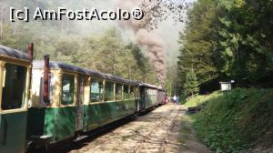 [P26] Trenul la stația Paltin » foto by costy69*
 - 
<span class="allrVoted glyphicon glyphicon-heart hidden" id="av809387"></span>
<a class="m-l-10 hidden" id="sv809387" onclick="voting_Foto_DelVot(,809387,18930)" role="button">șterge vot <span class="glyphicon glyphicon-remove"></span></a>
<a id="v9809387" class=" c-red"  onclick="voting_Foto_SetVot(809387)" role="button"><span class="glyphicon glyphicon-heart-empty"></span> <b>LIKE</b> = Votează poza</a> <img class="hidden"  id="f809387W9" src="/imagini/loader.gif" border="0" /><span class="AjErrMes hidden" id="e809387ErM"></span>