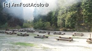 [P28] Locul de picnic de la stația Paltin » foto by costy69*
 - 
<span class="allrVoted glyphicon glyphicon-heart hidden" id="av809390"></span>
<a class="m-l-10 hidden" id="sv809390" onclick="voting_Foto_DelVot(,809390,18930)" role="button">șterge vot <span class="glyphicon glyphicon-remove"></span></a>
<a id="v9809390" class=" c-red"  onclick="voting_Foto_SetVot(809390)" role="button"><span class="glyphicon glyphicon-heart-empty"></span> <b>LIKE</b> = Votează poza</a> <img class="hidden"  id="f809390W9" src="/imagini/loader.gif" border="0" /><span class="AjErrMes hidden" id="e809390ErM"></span>