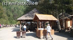 [P29] La stația Paltin » foto by costy69*
 - 
<span class="allrVoted glyphicon glyphicon-heart hidden" id="av809392"></span>
<a class="m-l-10 hidden" id="sv809392" onclick="voting_Foto_DelVot(,809392,18930)" role="button">șterge vot <span class="glyphicon glyphicon-remove"></span></a>
<a id="v9809392" class=" c-red"  onclick="voting_Foto_SetVot(809392)" role="button"><span class="glyphicon glyphicon-heart-empty"></span> <b>LIKE</b> = Votează poza</a> <img class="hidden"  id="f809392W9" src="/imagini/loader.gif" border="0" /><span class="AjErrMes hidden" id="e809392ErM"></span>