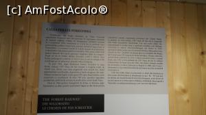 [P31] Material informativ în muzeu » foto by costy69*
 - 
<span class="allrVoted glyphicon glyphicon-heart hidden" id="av809395"></span>
<a class="m-l-10 hidden" id="sv809395" onclick="voting_Foto_DelVot(,809395,18930)" role="button">șterge vot <span class="glyphicon glyphicon-remove"></span></a>
<a id="v9809395" class=" c-red"  onclick="voting_Foto_SetVot(809395)" role="button"><span class="glyphicon glyphicon-heart-empty"></span> <b>LIKE</b> = Votează poza</a> <img class="hidden"  id="f809395W9" src="/imagini/loader.gif" border="0" /><span class="AjErrMes hidden" id="e809395ErM"></span>