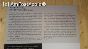 [P35]  -- <small>// FĂRĂ DESCRIERE</small> » foto by costy69*
 - 
<span class="allrVoted glyphicon glyphicon-heart hidden" id="av809400"></span>
<a class="m-l-10 hidden" id="sv809400" onclick="voting_Foto_DelVot(,809400,18930)" role="button">șterge vot <span class="glyphicon glyphicon-remove"></span></a>
<a id="v9809400" class=" c-red"  onclick="voting_Foto_SetVot(809400)" role="button"><span class="glyphicon glyphicon-heart-empty"></span> <b>LIKE</b> = Votează poza</a> <img class="hidden"  id="f809400W9" src="/imagini/loader.gif" border="0" /><span class="AjErrMes hidden" id="e809400ErM"></span>