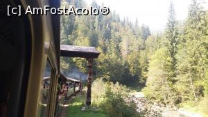 [P39] Poarta maramureșană » foto by costy69*
 - 
<span class="allrVoted glyphicon glyphicon-heart hidden" id="av809405"></span>
<a class="m-l-10 hidden" id="sv809405" onclick="voting_Foto_DelVot(,809405,18930)" role="button">șterge vot <span class="glyphicon glyphicon-remove"></span></a>
<a id="v9809405" class=" c-red"  onclick="voting_Foto_SetVot(809405)" role="button"><span class="glyphicon glyphicon-heart-empty"></span> <b>LIKE</b> = Votează poza</a> <img class="hidden"  id="f809405W9" src="/imagini/loader.gif" border="0" /><span class="AjErrMes hidden" id="e809405ErM"></span>