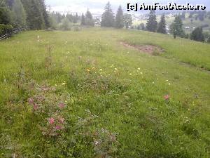 [P13] Vedere de sus de pe deal, la ieșirea din pădure. N-am mai revenit pe traseu, ci de-a dreptul pe pajiști. În departare, undeva e și Pensiunea Poiana, din Poiana Negri.  » foto by izabiza
 - 
<span class="allrVoted glyphicon glyphicon-heart hidden" id="av648064"></span>
<a class="m-l-10 hidden" id="sv648064" onclick="voting_Foto_DelVot(,648064,18958)" role="button">șterge vot <span class="glyphicon glyphicon-remove"></span></a>
<a id="v9648064" class=" c-red"  onclick="voting_Foto_SetVot(648064)" role="button"><span class="glyphicon glyphicon-heart-empty"></span> <b>LIKE</b> = Votează poza</a> <img class="hidden"  id="f648064W9" src="/imagini/loader.gif" border="0" /><span class="AjErrMes hidden" id="e648064ErM"></span>