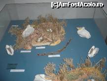 [P02] Lucru manual si iata rezultatul » foto by lavylus*
 - 
<span class="allrVoted glyphicon glyphicon-heart hidden" id="av170220"></span>
<a class="m-l-10 hidden" id="sv170220" onclick="voting_Foto_DelVot(,170220,18971)" role="button">șterge vot <span class="glyphicon glyphicon-remove"></span></a>
<a id="v9170220" class=" c-red"  onclick="voting_Foto_SetVot(170220)" role="button"><span class="glyphicon glyphicon-heart-empty"></span> <b>LIKE</b> = Votează poza</a> <img class="hidden"  id="f170220W9" src="/imagini/loader.gif" border="0" /><span class="AjErrMes hidden" id="e170220ErM"></span>