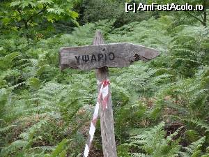[P12]  -- <small>// FĂRĂ DESCRIERE</small> » foto by wolf2001*
 - 
<span class="allrVoted glyphicon glyphicon-heart hidden" id="av533034"></span>
<a class="m-l-10 hidden" id="sv533034" onclick="voting_Foto_DelVot(,533034,19009)" role="button">șterge vot <span class="glyphicon glyphicon-remove"></span></a>
<a id="v9533034" class=" c-red"  onclick="voting_Foto_SetVot(533034)" role="button"><span class="glyphicon glyphicon-heart-empty"></span> <b>LIKE</b> = Votează poza</a> <img class="hidden"  id="f533034W9" src="/imagini/loader.gif" border="0" /><span class="AjErrMes hidden" id="e533034ErM"></span>