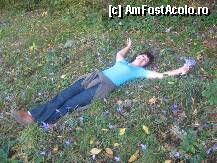 [P21] mai am un singur dor » foto by dorgo
 - 
<span class="allrVoted glyphicon glyphicon-heart hidden" id="av88782"></span>
<a class="m-l-10 hidden" id="sv88782" onclick="voting_Foto_DelVot(,88782,19028)" role="button">șterge vot <span class="glyphicon glyphicon-remove"></span></a>
<a id="v988782" class=" c-red"  onclick="voting_Foto_SetVot(88782)" role="button"><span class="glyphicon glyphicon-heart-empty"></span> <b>LIKE</b> = Votează poza</a> <img class="hidden"  id="f88782W9" src="/imagini/loader.gif" border="0" /><span class="AjErrMes hidden" id="e88782ErM"></span>