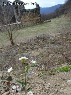 [P19] Primăvara își face simțită prezența la Vodița.  » foto by tata123 🔱
 - 
<span class="allrVoted glyphicon glyphicon-heart hidden" id="av1070290"></span>
<a class="m-l-10 hidden" id="sv1070290" onclick="voting_Foto_DelVot(,1070290,19048)" role="button">șterge vot <span class="glyphicon glyphicon-remove"></span></a>
<a id="v91070290" class=" c-red"  onclick="voting_Foto_SetVot(1070290)" role="button"><span class="glyphicon glyphicon-heart-empty"></span> <b>LIKE</b> = Votează poza</a> <img class="hidden"  id="f1070290W9" src="/imagini/loader.gif" border="0" /><span class="AjErrMes hidden" id="e1070290ErM"></span>