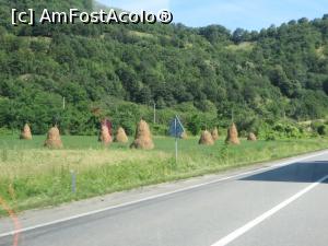 [P11] Peisaje pe Valea Cernei spre Băile Herculane (2017).  » foto by tata123 🔱
 - 
<span class="allrVoted glyphicon glyphicon-heart hidden" id="av1092364"></span>
<a class="m-l-10 hidden" id="sv1092364" onclick="voting_Foto_DelVot(,1092364,19048)" role="button">șterge vot <span class="glyphicon glyphicon-remove"></span></a>
<a id="v91092364" class=" c-red"  onclick="voting_Foto_SetVot(1092364)" role="button"><span class="glyphicon glyphicon-heart-empty"></span> <b>LIKE</b> = Votează poza</a> <img class="hidden"  id="f1092364W9" src="/imagini/loader.gif" border="0" /><span class="AjErrMes hidden" id="e1092364ErM"></span>