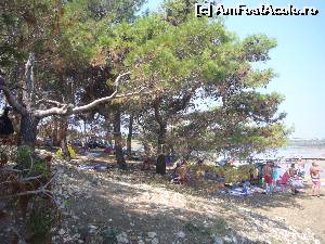 [P09] Laguna Nin - la umbra pinilor » foto by turist.real
 - 
<span class="allrVoted glyphicon glyphicon-heart hidden" id="av659762"></span>
<a class="m-l-10 hidden" id="sv659762" onclick="voting_Foto_DelVot(,659762,19193)" role="button">șterge vot <span class="glyphicon glyphicon-remove"></span></a>
<a id="v9659762" class=" c-red"  onclick="voting_Foto_SetVot(659762)" role="button"><span class="glyphicon glyphicon-heart-empty"></span> <b>LIKE</b> = Votează poza</a> <img class="hidden"  id="f659762W9" src="/imagini/loader.gif" border="0" /><span class="AjErrMes hidden" id="e659762ErM"></span>
