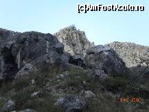 [P29]  -- <small>// FĂRĂ DESCRIERE</small> » foto by Alina Morar
 - 
<span class="allrVoted glyphicon glyphicon-heart hidden" id="av147755"></span>
<a class="m-l-10 hidden" id="sv147755" onclick="voting_Foto_DelVot(,147755,19414)" role="button">șterge vot <span class="glyphicon glyphicon-remove"></span></a>
<a id="v9147755" class=" c-red"  onclick="voting_Foto_SetVot(147755)" role="button"><span class="glyphicon glyphicon-heart-empty"></span> <b>LIKE</b> = Votează poza</a> <img class="hidden"  id="f147755W9" src="/imagini/loader.gif" border="0" /><span class="AjErrMes hidden" id="e147755ErM"></span>