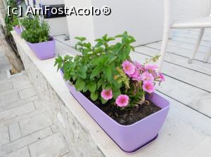 [P10] La pas prin Tolo » foto by extracrisina
 - 
<span class="allrVoted glyphicon glyphicon-heart hidden" id="av917154"></span>
<a class="m-l-10 hidden" id="sv917154" onclick="voting_Foto_DelVot(,917154,19436)" role="button">șterge vot <span class="glyphicon glyphicon-remove"></span></a>
<a id="v9917154" class=" c-red"  onclick="voting_Foto_SetVot(917154)" role="button"><span class="glyphicon glyphicon-heart-empty"></span> <b>LIKE</b> = Votează poza</a> <img class="hidden"  id="f917154W9" src="/imagini/loader.gif" border="0" /><span class="AjErrMes hidden" id="e917154ErM"></span>