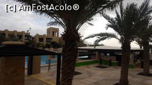 [P01]  -- <small>// FĂRĂ DESCRIERE</small> » foto by Sakiz*
 - 
<span class="allrVoted glyphicon glyphicon-heart hidden" id="av1048794"></span>
<a class="m-l-10 hidden" id="sv1048794" onclick="voting_Foto_DelVot(,1048794,19442)" role="button">șterge vot <span class="glyphicon glyphicon-remove"></span></a>
<a id="v91048794" class=" c-red"  onclick="voting_Foto_SetVot(1048794)" role="button"><span class="glyphicon glyphicon-heart-empty"></span> <b>LIKE</b> = Votează poza</a> <img class="hidden"  id="f1048794W9" src="/imagini/loader.gif" border="0" /><span class="AjErrMes hidden" id="e1048794ErM"></span>