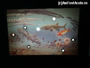 [P192] Steinplatte Waidrimg: Centrul de documentare din Triassic Park » foto by mariana.olaru
 - 
<span class="allrVoted glyphicon glyphicon-heart hidden" id="av681121"></span>
<a class="m-l-10 hidden" id="sv681121" onclick="voting_Foto_DelVot(,681121,19484)" role="button">șterge vot <span class="glyphicon glyphicon-remove"></span></a>
<a id="v9681121" class=" c-red"  onclick="voting_Foto_SetVot(681121)" role="button"><span class="glyphicon glyphicon-heart-empty"></span> <b>LIKE</b> = Votează poza</a> <img class="hidden"  id="f681121W9" src="/imagini/loader.gif" border="0" /><span class="AjErrMes hidden" id="e681121ErM"></span>
