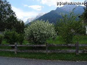 [P59] Austria, Waidring » foto by mariana.olaru
 - 
<span class="allrVoted glyphicon glyphicon-heart hidden" id="av680955"></span>
<a class="m-l-10 hidden" id="sv680955" onclick="voting_Foto_DelVot(,680955,19484)" role="button">șterge vot <span class="glyphicon glyphicon-remove"></span></a>
<a id="v9680955" class=" c-red"  onclick="voting_Foto_SetVot(680955)" role="button"><span class="glyphicon glyphicon-heart-empty"></span> <b>LIKE</b> = Votează poza</a> <img class="hidden"  id="f680955W9" src="/imagini/loader.gif" border="0" /><span class="AjErrMes hidden" id="e680955ErM"></span>
