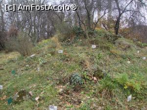 [P11] Flora Dobrogei, sau ce a mai rămas din ea în prag de iarnă!  » foto by Floryn81
 - 
<span class="allrVoted glyphicon glyphicon-heart hidden" id="av832399"></span>
<a class="m-l-10 hidden" id="sv832399" onclick="voting_Foto_DelVot(,832399,19622)" role="button">șterge vot <span class="glyphicon glyphicon-remove"></span></a>
<a id="v9832399" class=" c-red"  onclick="voting_Foto_SetVot(832399)" role="button"><span class="glyphicon glyphicon-heart-empty"></span> <b>LIKE</b> = Votează poza</a> <img class="hidden"  id="f832399W9" src="/imagini/loader.gif" border="0" /><span class="AjErrMes hidden" id="e832399ErM"></span>