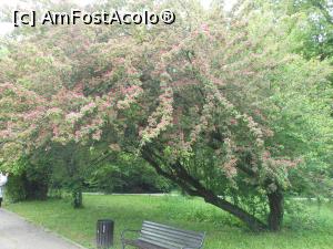 [P15] București - Grădina Botanică "Dimitrie Brândză". » foto by iulianic
 - 
<span class="allrVoted glyphicon glyphicon-heart hidden" id="av1364209"></span>
<a class="m-l-10 hidden" id="sv1364209" onclick="voting_Foto_DelVot(,1364209,19622)" role="button">șterge vot <span class="glyphicon glyphicon-remove"></span></a>
<a id="v91364209" class=" c-red"  onclick="voting_Foto_SetVot(1364209)" role="button"><span class="glyphicon glyphicon-heart-empty"></span> <b>LIKE</b> = Votează poza</a> <img class="hidden"  id="f1364209W9" src="/imagini/loader.gif" border="0" /><span class="AjErrMes hidden" id="e1364209ErM"></span>
