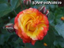 [P1x]  -- <small>// FĂRĂ DESCRIERE</small> » foto by Cristian_h
 - 
<span class="allrVoted glyphicon glyphicon-heart hidden" id="av33842"></span>
<a class="m-l-10 hidden" id="sv33842" onclick="voting_Foto_DelVot(,33842,19622)" role="button">șterge vot <span class="glyphicon glyphicon-remove"></span></a>
<a id="v933842" class=" c-red"  onclick="voting_Foto_SetVot(33842)" role="button"><span class="glyphicon glyphicon-heart-empty"></span> <b>LIKE</b> = Votează poza</a> <img class="hidden"  id="f33842W9" src="/imagini/loader.gif" border="0" /><span class="AjErrMes hidden" id="e33842ErM"></span>