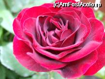[P11x]  -- <small>// FĂRĂ DESCRIERE</small> » foto by Cristian_h
 - 
<span class="allrVoted glyphicon glyphicon-heart hidden" id="av33856"></span>
<a class="m-l-10 hidden" id="sv33856" onclick="voting_Foto_DelVot(,33856,19622)" role="button">șterge vot <span class="glyphicon glyphicon-remove"></span></a>
<a id="v933856" class=" c-red"  onclick="voting_Foto_SetVot(33856)" role="button"><span class="glyphicon glyphicon-heart-empty"></span> <b>LIKE</b> = Votează poza</a> <img class="hidden"  id="f33856W9" src="/imagini/loader.gif" border="0" /><span class="AjErrMes hidden" id="e33856ErM"></span>