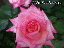 [P8x]  -- <small>// FĂRĂ DESCRIERE</small> » foto by Cristian_h
 - 
<span class="allrVoted glyphicon glyphicon-heart hidden" id="av33853"></span>
<a class="m-l-10 hidden" id="sv33853" onclick="voting_Foto_DelVot(,33853,19622)" role="button">șterge vot <span class="glyphicon glyphicon-remove"></span></a>
<a id="v933853" class=" c-red"  onclick="voting_Foto_SetVot(33853)" role="button"><span class="glyphicon glyphicon-heart-empty"></span> <b>LIKE</b> = Votează poza</a> <img class="hidden"  id="f33853W9" src="/imagini/loader.gif" border="0" /><span class="AjErrMes hidden" id="e33853ErM"></span>