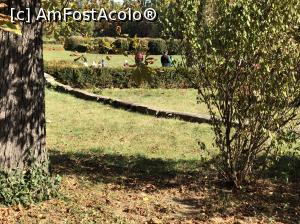 [P23] Gradina Italiana » foto by Dan&Ema
 - 
<span class="allrVoted glyphicon glyphicon-heart hidden" id="av1022213"></span>
<a class="m-l-10 hidden" id="sv1022213" onclick="voting_Foto_DelVot(,1022213,19622)" role="button">șterge vot <span class="glyphicon glyphicon-remove"></span></a>
<a id="v91022213" class=" c-red"  onclick="voting_Foto_SetVot(1022213)" role="button"><span class="glyphicon glyphicon-heart-empty"></span> <b>LIKE</b> = Votează poza</a> <img class="hidden"  id="f1022213W9" src="/imagini/loader.gif" border="0" /><span class="AjErrMes hidden" id="e1022213ErM"></span>