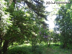 [P04] Grădina Botanică primăvara » foto by Michi
 - 
<span class="allrVoted glyphicon glyphicon-heart hidden" id="av690296"></span>
<a class="m-l-10 hidden" id="sv690296" onclick="voting_Foto_DelVot(,690296,19622)" role="button">șterge vot <span class="glyphicon glyphicon-remove"></span></a>
<a id="v9690296" class=" c-red"  onclick="voting_Foto_SetVot(690296)" role="button"><span class="glyphicon glyphicon-heart-empty"></span> <b>LIKE</b> = Votează poza</a> <img class="hidden"  id="f690296W9" src="/imagini/loader.gif" border="0" /><span class="AjErrMes hidden" id="e690296ErM"></span>