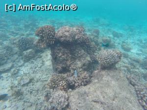 [P20]  -- <small>// FĂRĂ DESCRIERE</small> » foto by andreea_kamelya
 - 
<span class="allrVoted glyphicon glyphicon-heart hidden" id="av819363"></span>
<a class="m-l-10 hidden" id="sv819363" onclick="voting_Foto_DelVot(,819363,19625)" role="button">șterge vot <span class="glyphicon glyphicon-remove"></span></a>
<a id="v9819363" class=" c-red"  onclick="voting_Foto_SetVot(819363)" role="button"><span class="glyphicon glyphicon-heart-empty"></span> <b>LIKE</b> = Votează poza</a> <img class="hidden"  id="f819363W9" src="/imagini/loader.gif" border="0" /><span class="AjErrMes hidden" id="e819363ErM"></span>