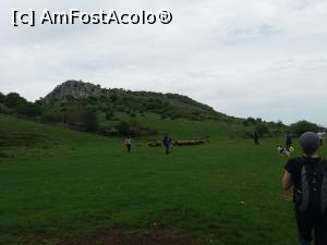 [P30] Oile stranse de catel » foto by vulpe mihaela
 - 
<span class="allrVoted glyphicon glyphicon-heart hidden" id="av1078441"></span>
<a class="m-l-10 hidden" id="sv1078441" onclick="voting_Foto_DelVot(,1078441,19642)" role="button">șterge vot <span class="glyphicon glyphicon-remove"></span></a>
<a id="v91078441" class=" c-red"  onclick="voting_Foto_SetVot(1078441)" role="button"><span class="glyphicon glyphicon-heart-empty"></span> <b>LIKE</b> = Votează poza</a> <img class="hidden"  id="f1078441W9" src="/imagini/loader.gif" border="0" /><span class="AjErrMes hidden" id="e1078441ErM"></span>