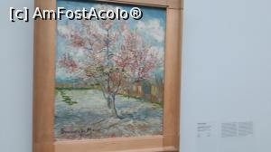 [P19] Van Gogh -Piersic » foto by mireille
 - 
<span class="allrVoted glyphicon glyphicon-heart hidden" id="av1159412"></span>
<a class="m-l-10 hidden" id="sv1159412" onclick="voting_Foto_DelVot(,1159412,19676)" role="button">șterge vot <span class="glyphicon glyphicon-remove"></span></a>
<a id="v91159412" class=" c-red"  onclick="voting_Foto_SetVot(1159412)" role="button"><span class="glyphicon glyphicon-heart-empty"></span> <b>LIKE</b> = Votează poza</a> <img class="hidden"  id="f1159412W9" src="/imagini/loader.gif" border="0" /><span class="AjErrMes hidden" id="e1159412ErM"></span>