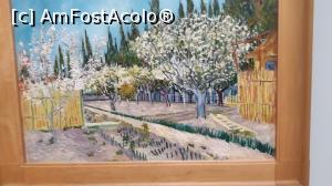 [P20] Van Gogh » foto by mireille
 - 
<span class="allrVoted glyphicon glyphicon-heart hidden" id="av1159413"></span>
<a class="m-l-10 hidden" id="sv1159413" onclick="voting_Foto_DelVot(,1159413,19676)" role="button">șterge vot <span class="glyphicon glyphicon-remove"></span></a>
<a id="v91159413" class=" c-red"  onclick="voting_Foto_SetVot(1159413)" role="button"><span class="glyphicon glyphicon-heart-empty"></span> <b>LIKE</b> = Votează poza</a> <img class="hidden"  id="f1159413W9" src="/imagini/loader.gif" border="0" /><span class="AjErrMes hidden" id="e1159413ErM"></span>