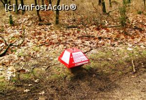 [P07] Un indicator ciuperca, care nu te lasa sa te ratacesti » foto by Radu Tudoran
 - 
<span class="allrVoted glyphicon glyphicon-heart hidden" id="av729314"></span>
<a class="m-l-10 hidden" id="sv729314" onclick="voting_Foto_DelVot(,729314,19676)" role="button">șterge vot <span class="glyphicon glyphicon-remove"></span></a>
<a id="v9729314" class=" c-red"  onclick="voting_Foto_SetVot(729314)" role="button"><span class="glyphicon glyphicon-heart-empty"></span> <b>LIKE</b> = Votează poza</a> <img class="hidden"  id="f729314W9" src="/imagini/loader.gif" border="0" /><span class="AjErrMes hidden" id="e729314ErM"></span>
