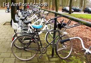 [P08] Camila este bicicleta bruneta cu sa albastra » foto by Radu Tudoran
 - 
<span class="allrVoted glyphicon glyphicon-heart hidden" id="av729315"></span>
<a class="m-l-10 hidden" id="sv729315" onclick="voting_Foto_DelVot(,729315,19676)" role="button">șterge vot <span class="glyphicon glyphicon-remove"></span></a>
<a id="v9729315" class=" c-red"  onclick="voting_Foto_SetVot(729315)" role="button"><span class="glyphicon glyphicon-heart-empty"></span> <b>LIKE</b> = Votează poza</a> <img class="hidden"  id="f729315W9" src="/imagini/loader.gif" border="0" /><span class="AjErrMes hidden" id="e729315ErM"></span>