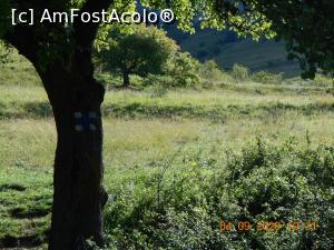 [P73] Pe traseu spre Piatra Secuiului » foto by zlatna
 - 
<span class="allrVoted glyphicon glyphicon-heart hidden" id="av1222135"></span>
<a class="m-l-10 hidden" id="sv1222135" onclick="voting_Foto_DelVot(,1222135,19767)" role="button">șterge vot <span class="glyphicon glyphicon-remove"></span></a>
<a id="v91222135" class=" c-red"  onclick="voting_Foto_SetVot(1222135)" role="button"><span class="glyphicon glyphicon-heart-empty"></span> <b>LIKE</b> = Votează poza</a> <img class="hidden"  id="f1222135W9" src="/imagini/loader.gif" border="0" /><span class="AjErrMes hidden" id="e1222135ErM"></span>