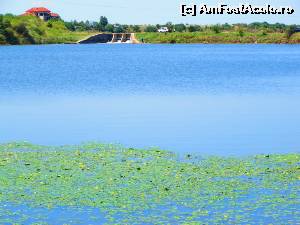 [P08] Imagine de pe lacul Buftea...  » foto by tata123 🔱
 - 
<span class="allrVoted glyphicon glyphicon-heart hidden" id="av671376"></span>
<a class="m-l-10 hidden" id="sv671376" onclick="voting_Foto_DelVot(,671376,19769)" role="button">șterge vot <span class="glyphicon glyphicon-remove"></span></a>
<a id="v9671376" class=" c-red"  onclick="voting_Foto_SetVot(671376)" role="button"><span class="glyphicon glyphicon-heart-empty"></span> <b>LIKE</b> = Votează poza</a> <img class="hidden"  id="f671376W9" src="/imagini/loader.gif" border="0" /><span class="AjErrMes hidden" id="e671376ErM"></span>