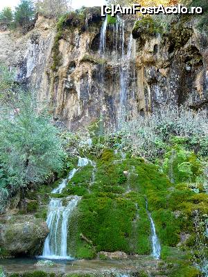 [P07] Pişoaia şi o parte din 'suratele' ei mai mici » foto by Claudiu U.
 - 
<span class="allrVoted glyphicon glyphicon-heart hidden" id="av700217"></span>
<a class="m-l-10 hidden" id="sv700217" onclick="voting_Foto_DelVot(,700217,19774)" role="button">șterge vot <span class="glyphicon glyphicon-remove"></span></a>
<a id="v9700217" class=" c-red"  onclick="voting_Foto_SetVot(700217)" role="button"><span class="glyphicon glyphicon-heart-empty"></span> <b>LIKE</b> = Votează poza</a> <img class="hidden"  id="f700217W9" src="/imagini/loader.gif" border="0" /><span class="AjErrMes hidden" id="e700217ErM"></span>