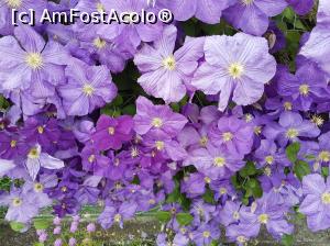 [P25] Din Munții Apuseni, pentru voi!  » foto by sunflower
 - 
<span class="allrVoted glyphicon glyphicon-heart hidden" id="av878677"></span>
<a class="m-l-10 hidden" id="sv878677" onclick="voting_Foto_DelVot(,878677,19774)" role="button">șterge vot <span class="glyphicon glyphicon-remove"></span></a>
<a id="v9878677" class=" c-red"  onclick="voting_Foto_SetVot(878677)" role="button"><span class="glyphicon glyphicon-heart-empty"></span> <b>LIKE</b> = Votează poza</a> <img class="hidden"  id="f878677W9" src="/imagini/loader.gif" border="0" /><span class="AjErrMes hidden" id="e878677ErM"></span>