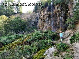 [P13] Cascada Pișoaia Vidrii, sat Nemeși, com. Vidra, Munții Apuseni » foto by Dana2008
 - 
<span class="allrVoted glyphicon glyphicon-heart hidden" id="av1040779"></span>
<a class="m-l-10 hidden" id="sv1040779" onclick="voting_Foto_DelVot(,1040779,19774)" role="button">șterge vot <span class="glyphicon glyphicon-remove"></span></a>
<a id="v91040779" class=" c-red"  onclick="voting_Foto_SetVot(1040779)" role="button"><span class="glyphicon glyphicon-heart-empty"></span> <b>LIKE</b> = Votează poza</a> <img class="hidden"  id="f1040779W9" src="/imagini/loader.gif" border="0" /><span class="AjErrMes hidden" id="e1040779ErM"></span>