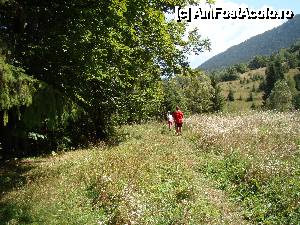 [P31] „Cascada Pişoaia” / Poteca de sus, de pe coama cascadei.  » foto by Utube
 - 
<span class="allrVoted glyphicon glyphicon-heart hidden" id="av410662"></span>
<a class="m-l-10 hidden" id="sv410662" onclick="voting_Foto_DelVot(,410662,19774)" role="button">șterge vot <span class="glyphicon glyphicon-remove"></span></a>
<a id="v9410662" class=" c-red"  onclick="voting_Foto_SetVot(410662)" role="button"><span class="glyphicon glyphicon-heart-empty"></span> <b>LIKE</b> = Votează poza</a> <img class="hidden"  id="f410662W9" src="/imagini/loader.gif" border="0" /><span class="AjErrMes hidden" id="e410662ErM"></span>