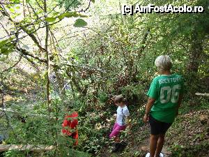 [P33] „Cascada Pişoaia” / Coborâm, cu atenţie, spre coama cascadei.  » foto by Utube
 - 
<span class="allrVoted glyphicon glyphicon-heart hidden" id="av410664"></span>
<a class="m-l-10 hidden" id="sv410664" onclick="voting_Foto_DelVot(,410664,19774)" role="button">șterge vot <span class="glyphicon glyphicon-remove"></span></a>
<a id="v9410664" class=" c-red"  onclick="voting_Foto_SetVot(410664)" role="button"><span class="glyphicon glyphicon-heart-empty"></span> <b>LIKE</b> = Votează poza</a> <img class="hidden"  id="f410664W9" src="/imagini/loader.gif" border="0" /><span class="AjErrMes hidden" id="e410664ErM"></span>