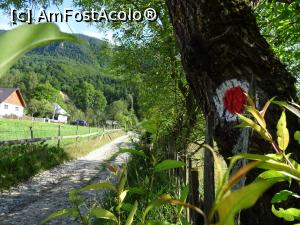 [P01] Drumul spre Casacada Pișoaia (Vidra).  » foto by tata123 🔱
 - 
<span class="allrVoted glyphicon glyphicon-heart hidden" id="av1121293"></span>
<a class="m-l-10 hidden" id="sv1121293" onclick="voting_Foto_DelVot(,1121293,19774)" role="button">șterge vot <span class="glyphicon glyphicon-remove"></span></a>
<a id="v91121293" class=" c-red"  onclick="voting_Foto_SetVot(1121293)" role="button"><span class="glyphicon glyphicon-heart-empty"></span> <b>LIKE</b> = Votează poza</a> <img class="hidden"  id="f1121293W9" src="/imagini/loader.gif" border="0" /><span class="AjErrMes hidden" id="e1121293ErM"></span>