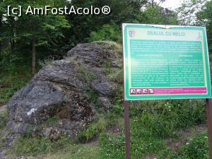 [P14] Dealul cu melci - pintenul de stâncă care ne sare în ochi imediat.  » foto by tata123 🔱
 - 
<span class="allrVoted glyphicon glyphicon-heart hidden" id="av1121306"></span>
<a class="m-l-10 hidden" id="sv1121306" onclick="voting_Foto_DelVot(,1121306,19774)" role="button">șterge vot <span class="glyphicon glyphicon-remove"></span></a>
<a id="v91121306" class=" c-red"  onclick="voting_Foto_SetVot(1121306)" role="button"><span class="glyphicon glyphicon-heart-empty"></span> <b>LIKE</b> = Votează poza</a> <img class="hidden"  id="f1121306W9" src="/imagini/loader.gif" border="0" /><span class="AjErrMes hidden" id="e1121306ErM"></span>