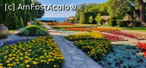 [P05] Grădina Botanică din domeniul Reginei Maria la Balcik » foto by Nobodyforever
 - 
<span class="allrVoted glyphicon glyphicon-heart hidden" id="av1240258"></span>
<a class="m-l-10 hidden" id="sv1240258" onclick="voting_Foto_DelVot(,1240258,19804)" role="button">șterge vot <span class="glyphicon glyphicon-remove"></span></a>
<a id="v91240258" class=" c-red"  onclick="voting_Foto_SetVot(1240258)" role="button"><span class="glyphicon glyphicon-heart-empty"></span> <b>LIKE</b> = Votează poza</a> <img class="hidden"  id="f1240258W9" src="/imagini/loader.gif" border="0" /><span class="AjErrMes hidden" id="e1240258ErM"></span>