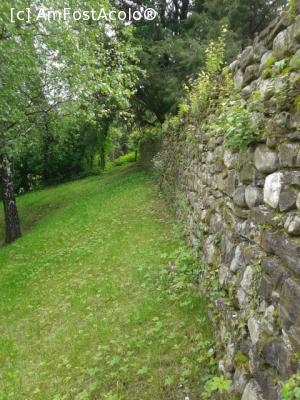 [P27] Gradina in panta, cu mesteceni si salcii plangatoare-cula Duca » foto by ccbg*
 - 
<span class="allrVoted glyphicon glyphicon-heart hidden" id="av708160"></span>
<a class="m-l-10 hidden" id="sv708160" onclick="voting_Foto_DelVot(,708160,19874)" role="button">șterge vot <span class="glyphicon glyphicon-remove"></span></a>
<a id="v9708160" class=" c-red"  onclick="voting_Foto_SetVot(708160)" role="button"><span class="glyphicon glyphicon-heart-empty"></span> <b>LIKE</b> = Votează poza</a> <img class="hidden"  id="f708160W9" src="/imagini/loader.gif" border="0" /><span class="AjErrMes hidden" id="e708160ErM"></span>